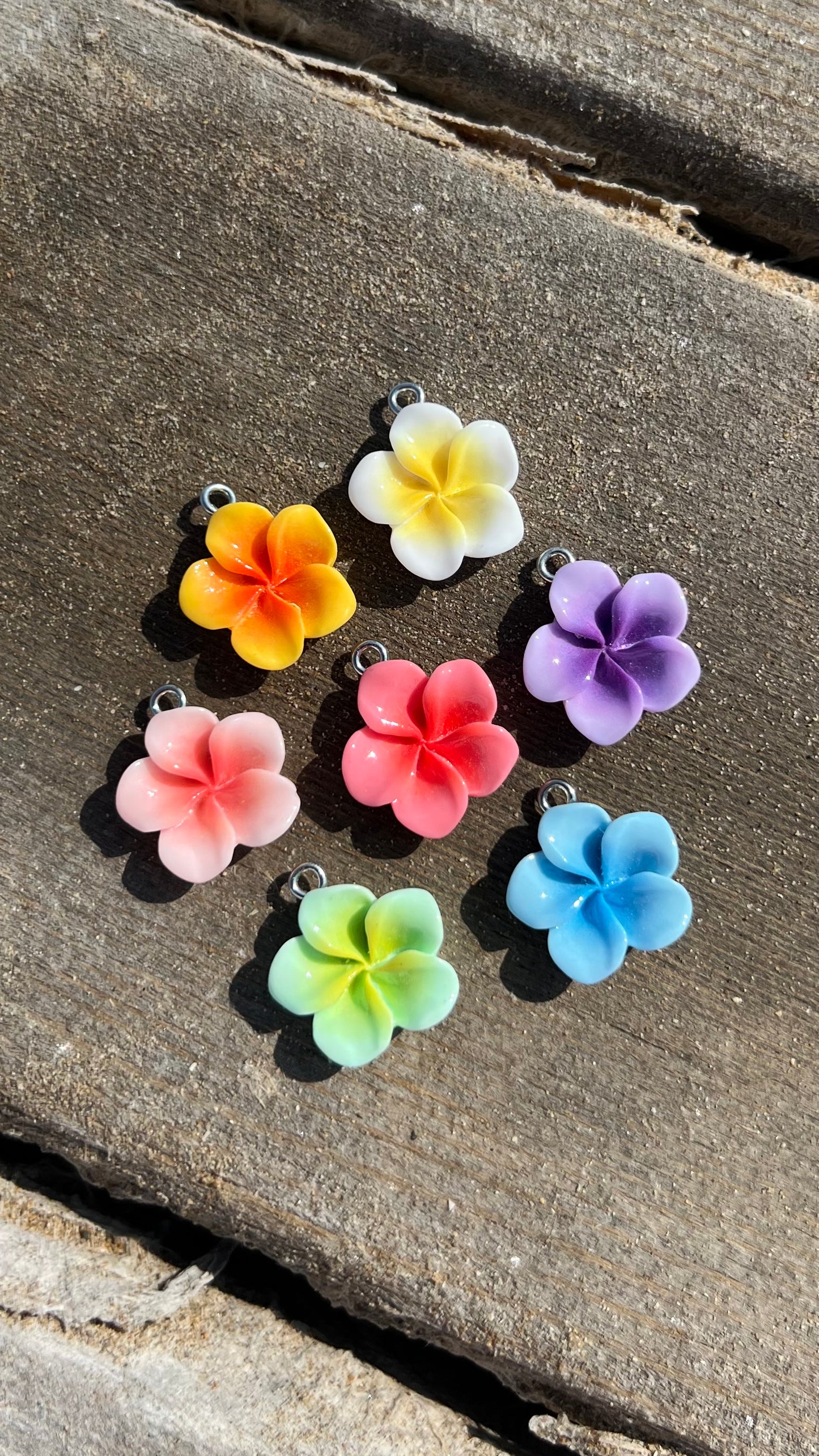 Hibiskus Tasbih