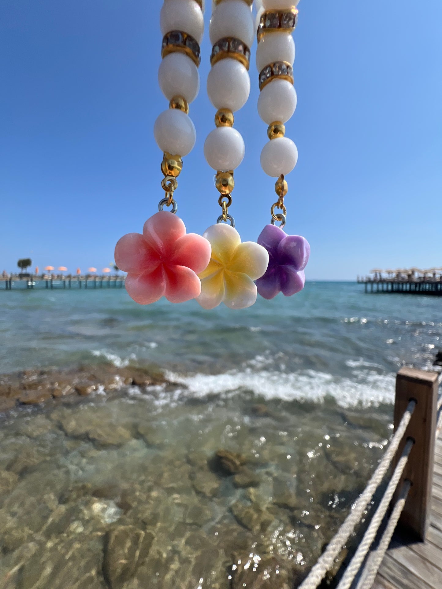Hibiskus Tasbih