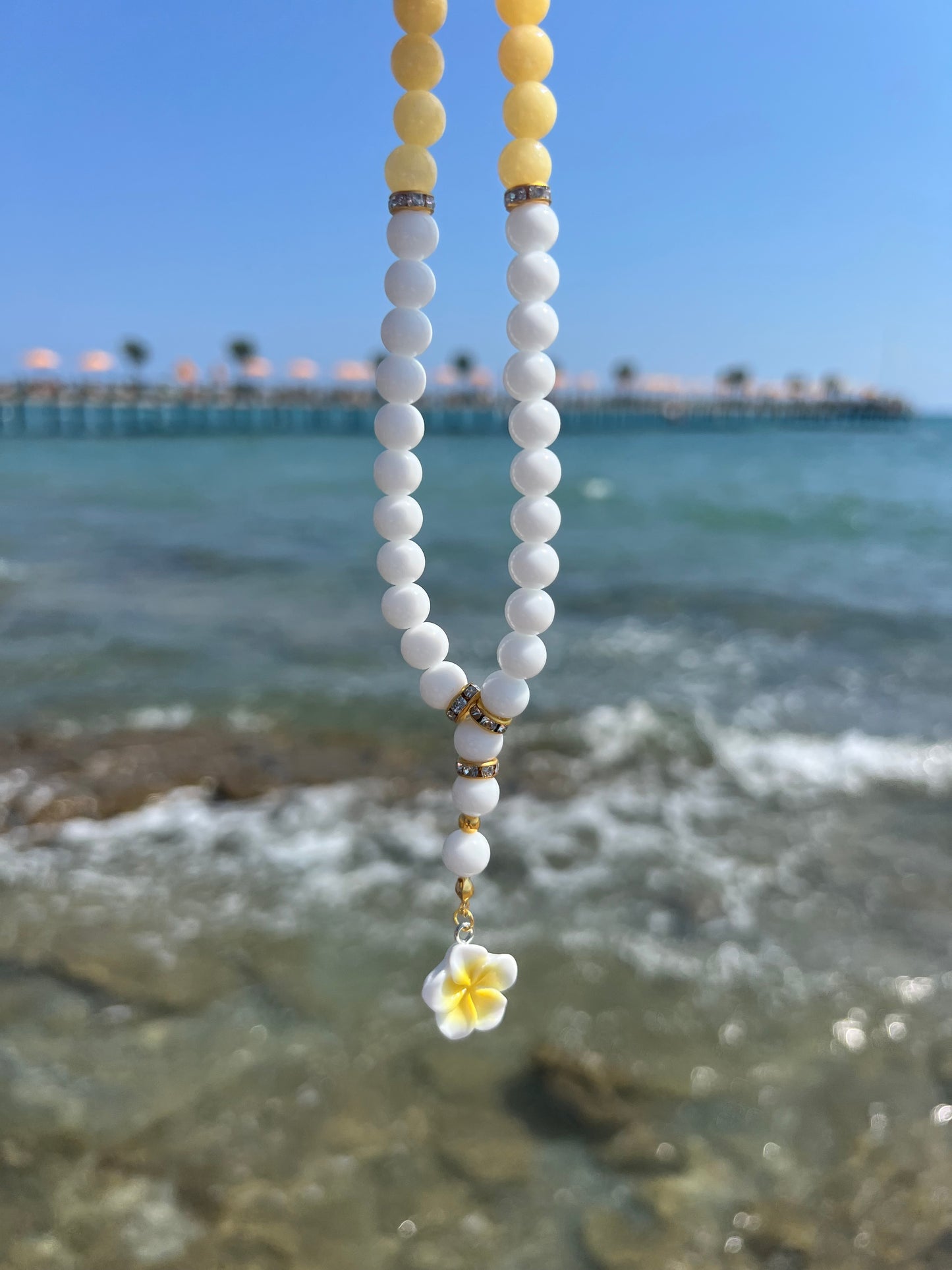Hibiskus Tasbih