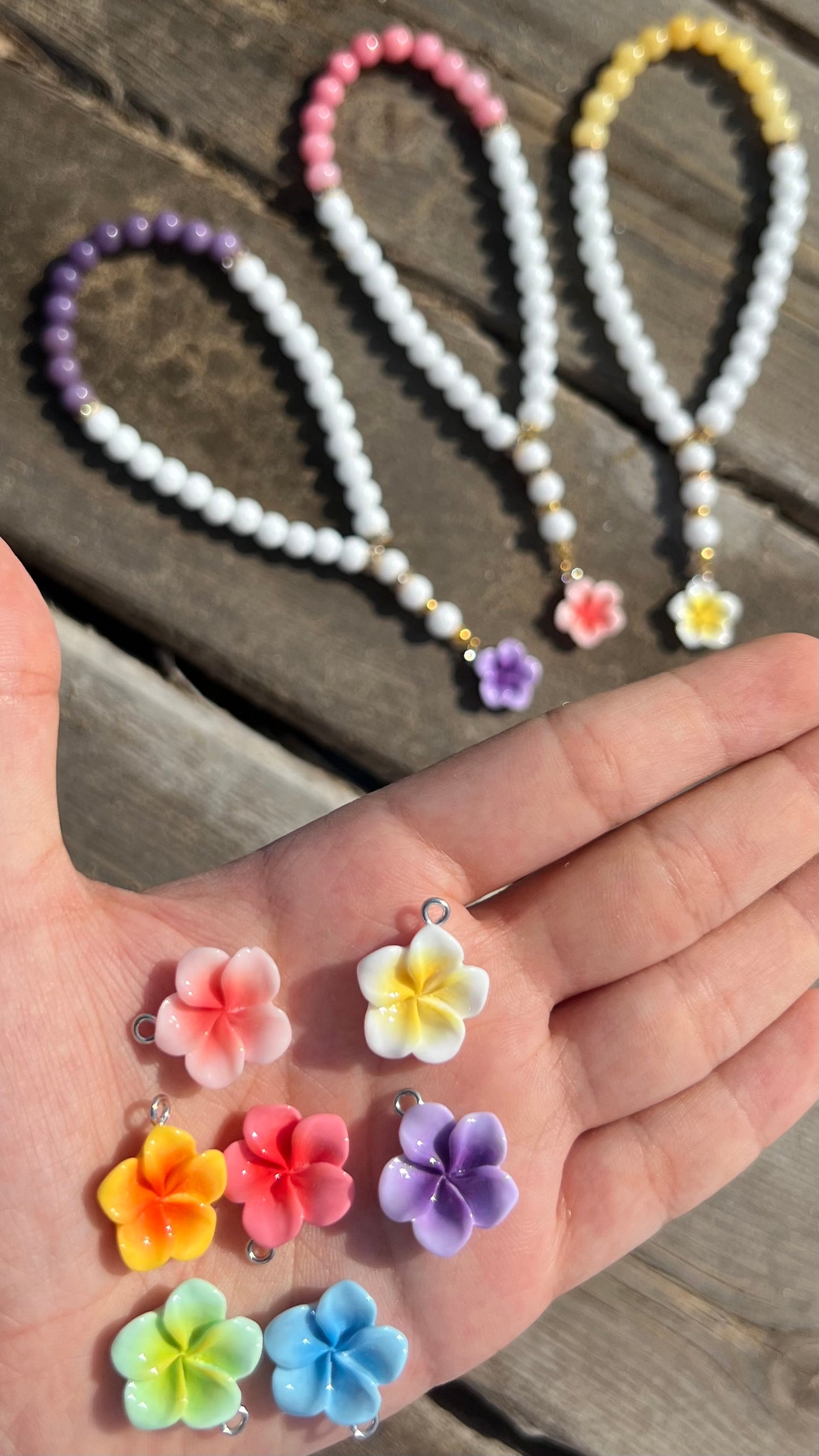 Hibiskus Tasbih